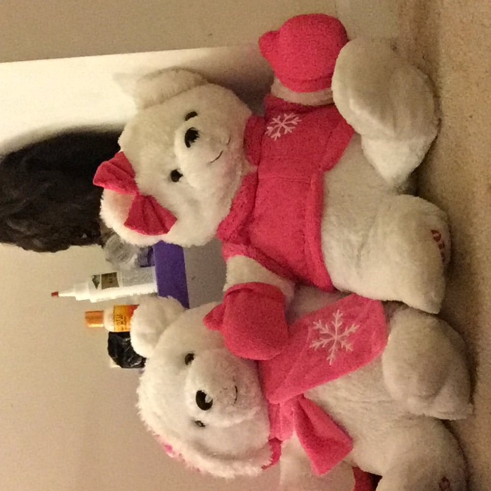 Two valentines bears 🐻